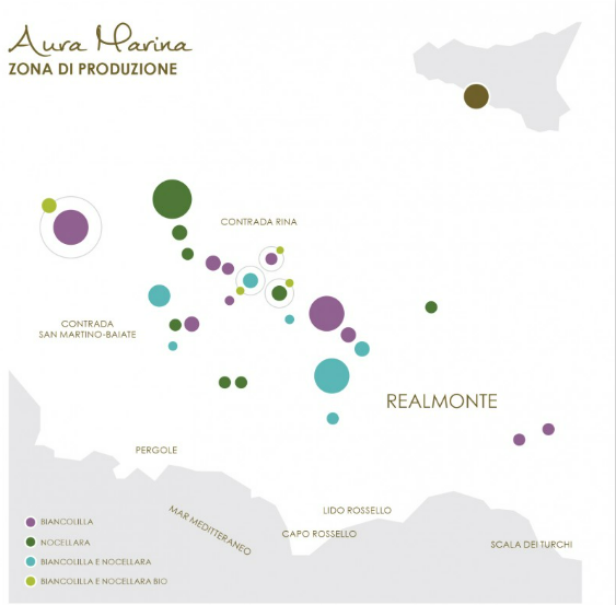 mapy plantacji oliwnych