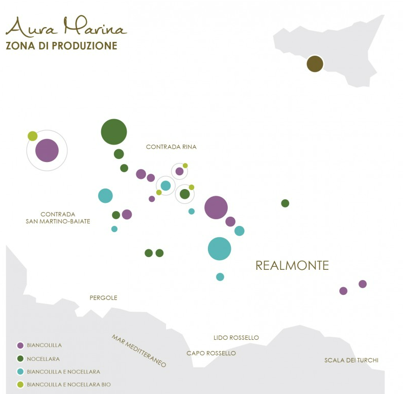 Plan plantacji oliwnych